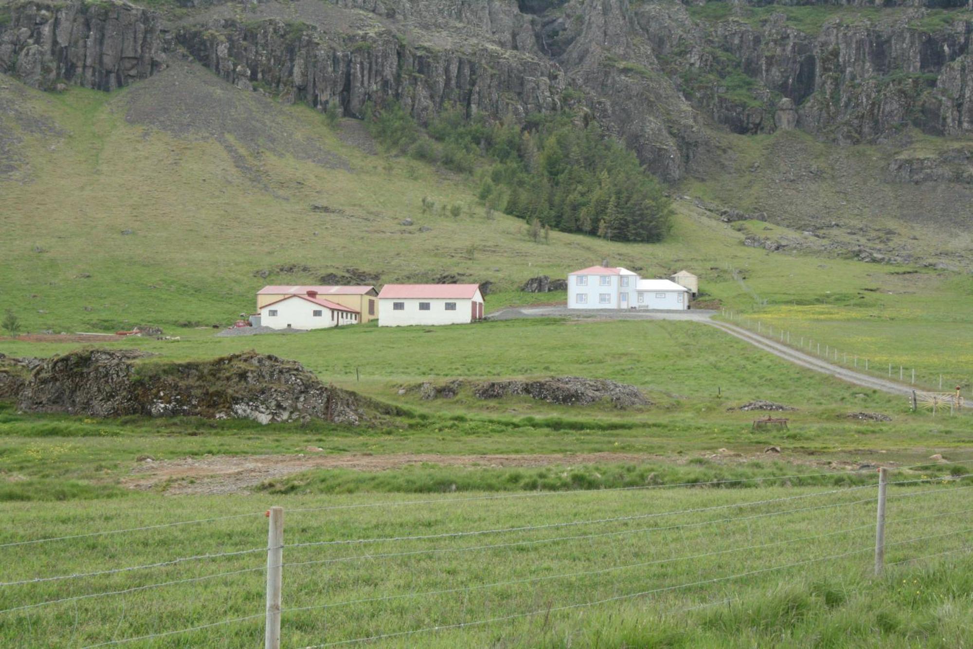 Guesthouse Stekkatun Skálafell Eksteriør bilde